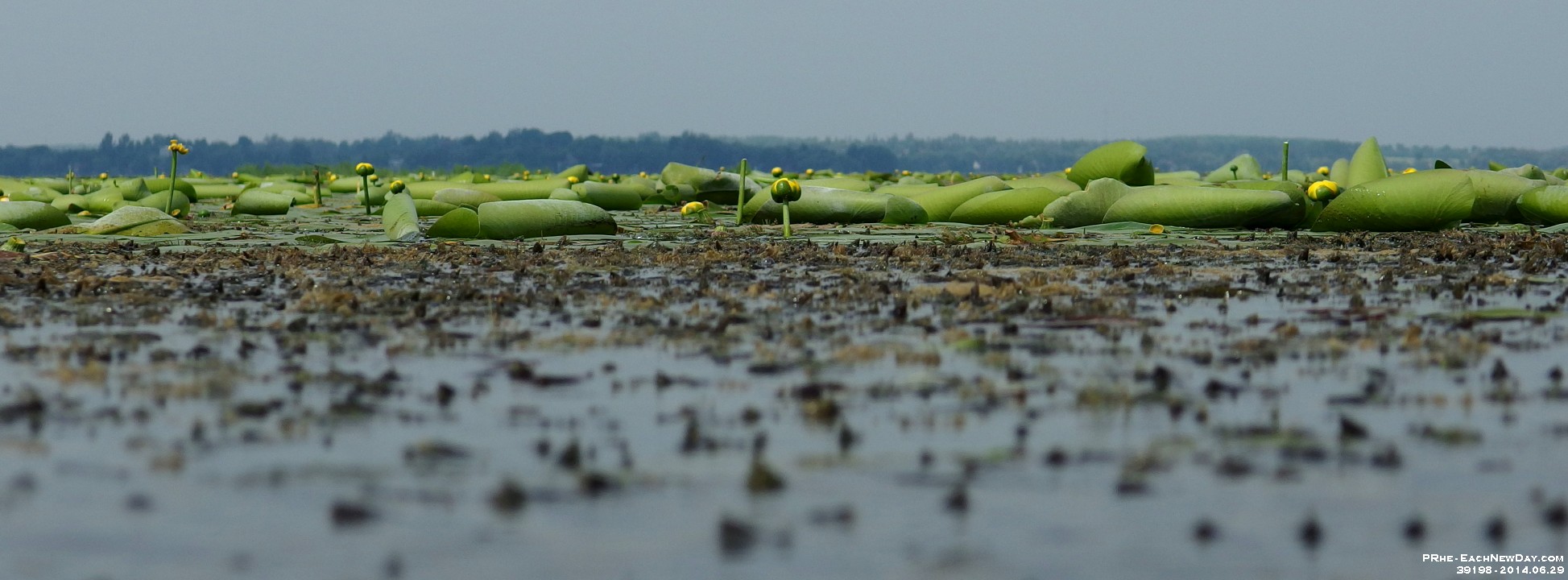 39198RoCrLe - Kayking with Beth and Andy on Lake Scugog, out of Seagrave 